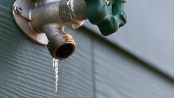 Best Local Plumber Services  in Melrose Park, NY